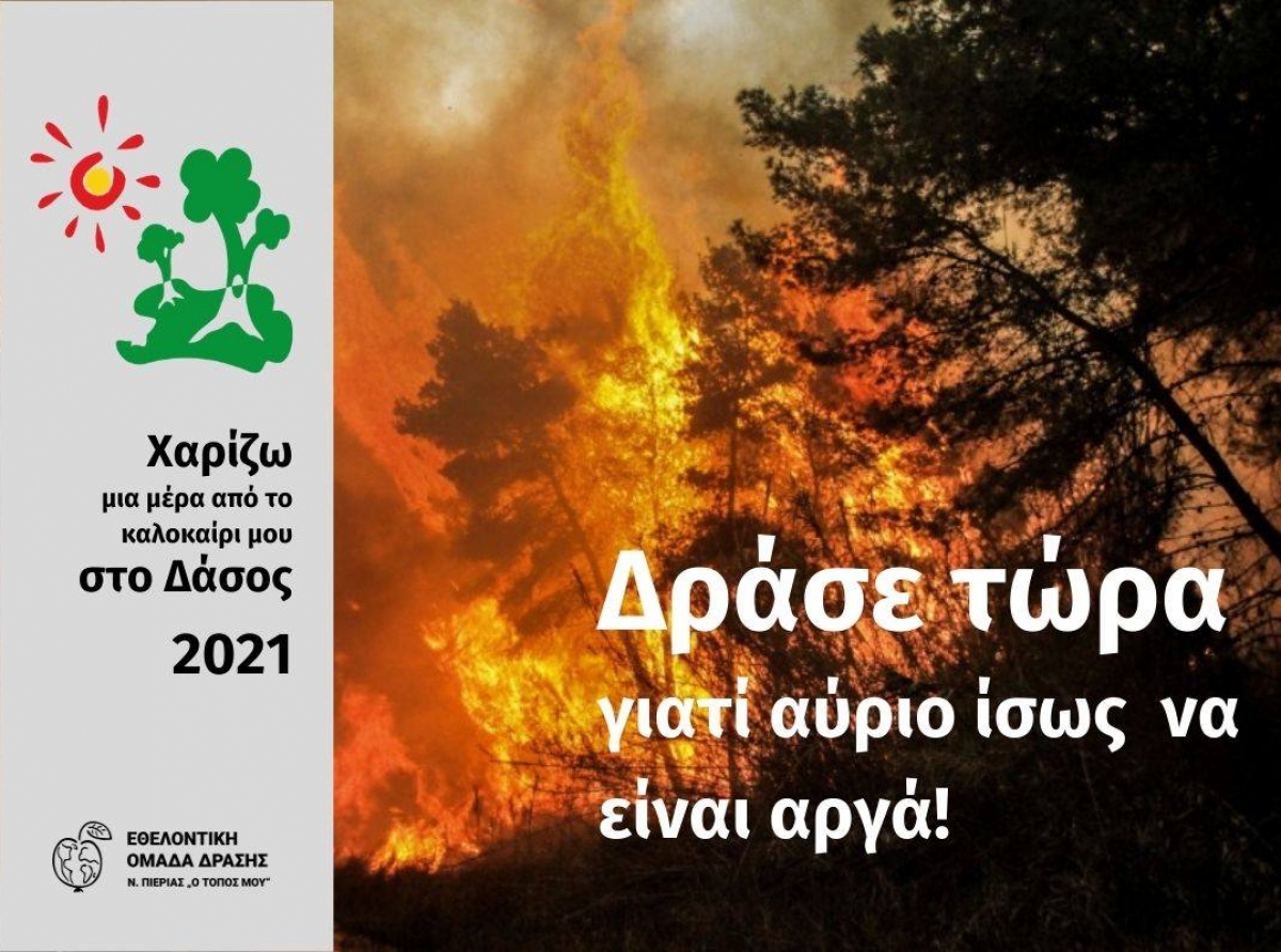 14 Χρόνια «Χαρίζω μια μέρα από το Καλοκαίρι μου στο Δάσος»