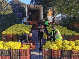 Επανεκκίνηση των αγορών «Χωρίς Μεσάζοντες» από την Κατερίνη